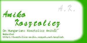 aniko kosztolicz business card